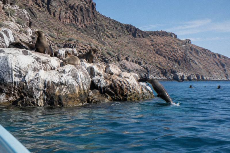 8-Hour Small Group, Espiritu Santo