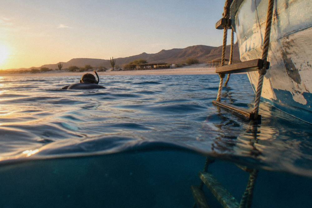 Snorkeler in a wetsuit floating at the surface of dark blue water