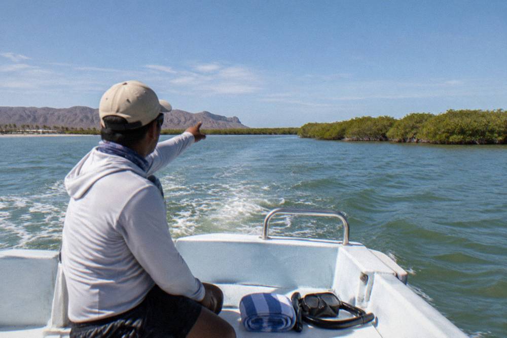 A tour boat idling in a bay with a guide pointing toward the water