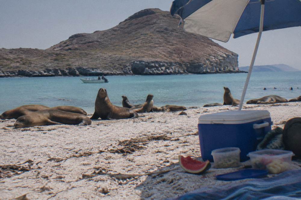 Beach picnic setup with coolers and food containers under an umbrella on white sand