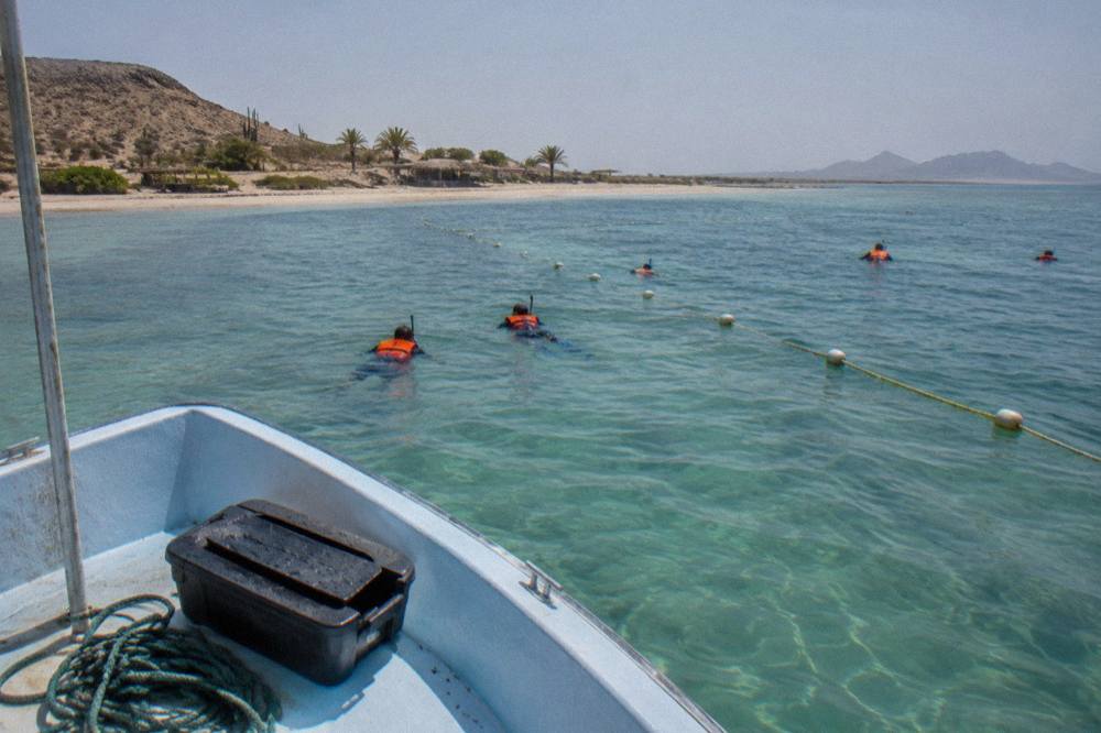 A small tour boat with snorkelers waiting beside a marked swimming area in a quiet bay
