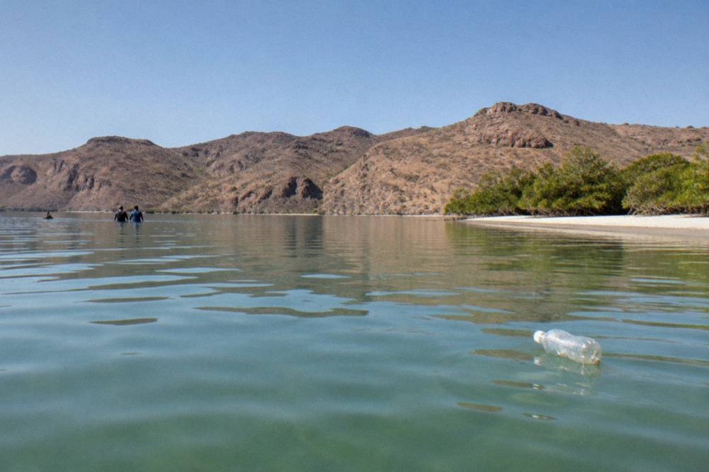 A calm bay at midmorning with low hills in the distance and clear green water