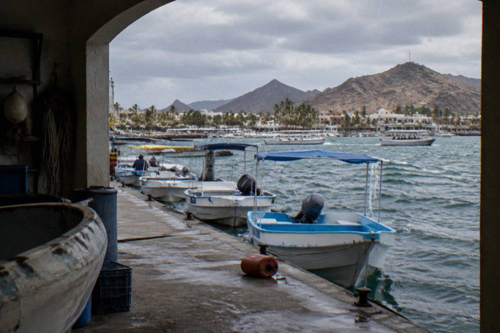 moored fishing and tour boats along a calm marina in La Paz under a clear sky