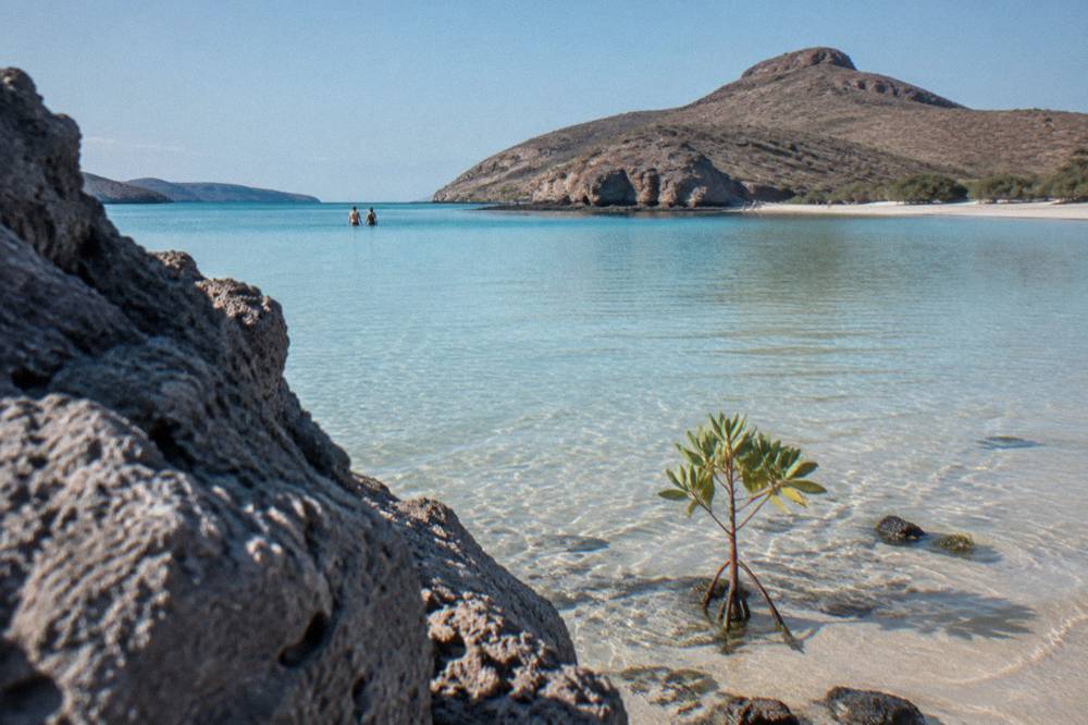 Turquoise shallow water of a protected cove ringed by low desert hills