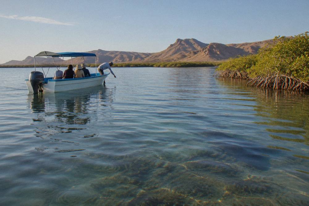 A small tour boat idling in a calm bay with a guide pointing toward the water