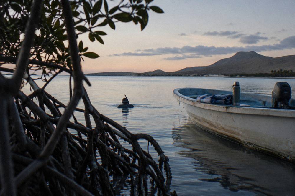 A snorkeler in a wetsuit floating on calm green water beside a small boat