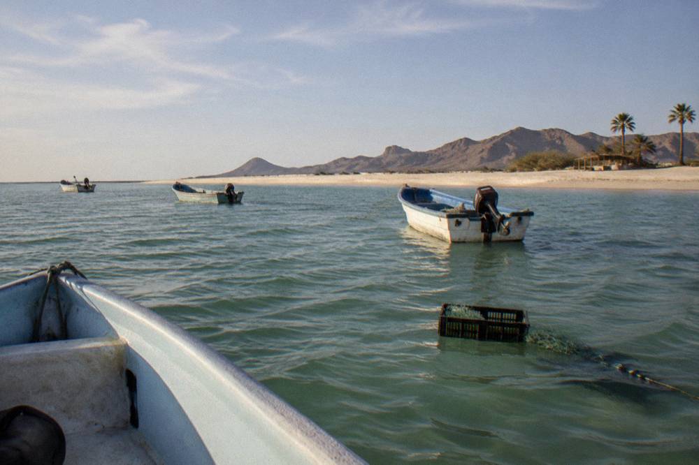 Fishing boats moored in shallow green water with a long sandbar beyond