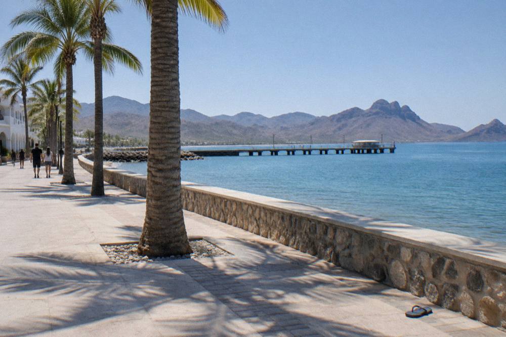 Sunny boardwalk promenade in La Paz with palm trees and calm bay water