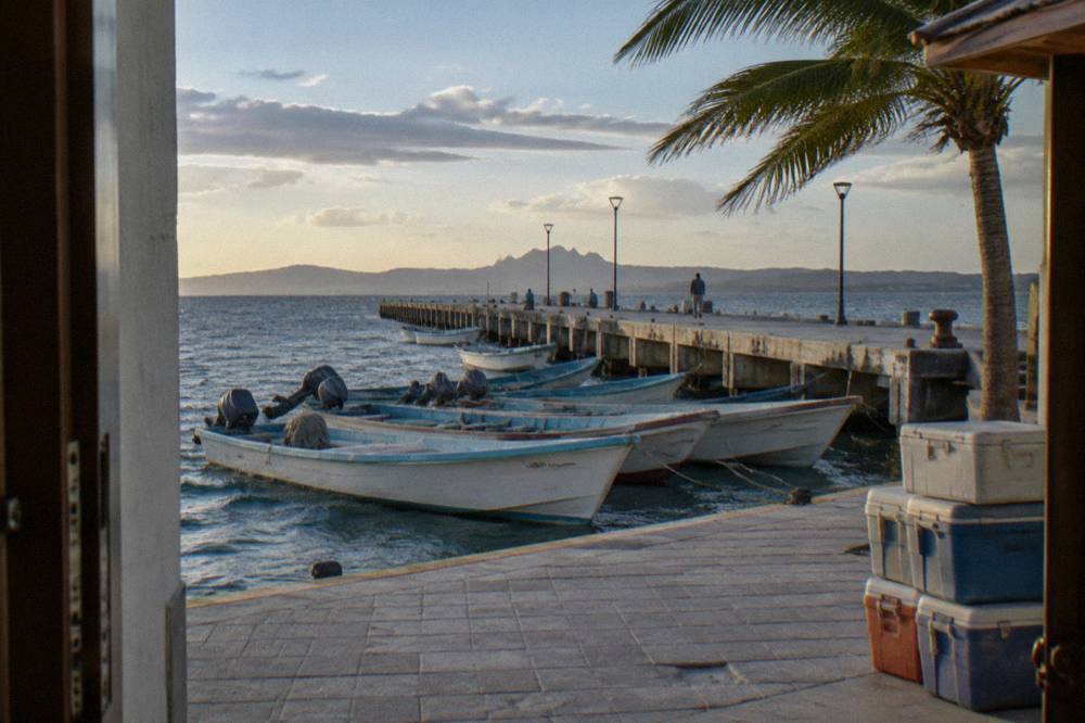 Fishing and tour boats moored along a city pier with a waterfront promenade behind