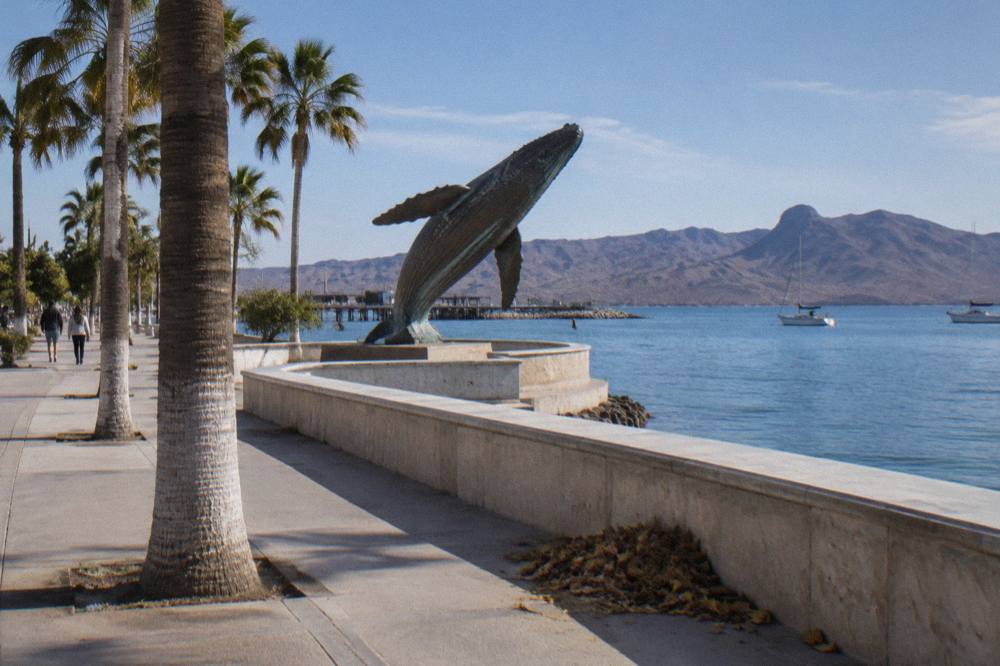 Palm-lined waterfront promenade in La Paz with sculptures and calm bay water