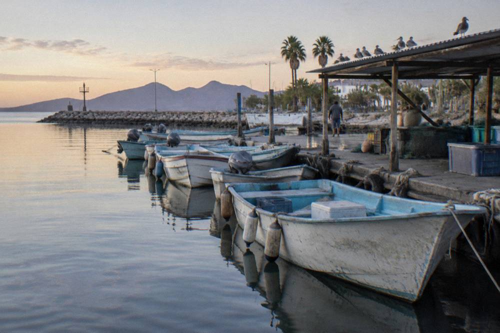 Fishing boats moored at a marina in La Paz with calm water at first light