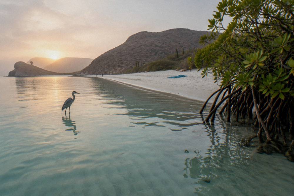 Shallow turquoise water and pale sand at an empty Baja beach cove