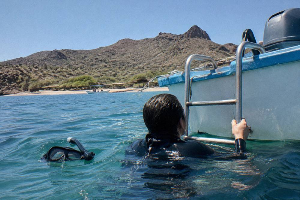 Snorkeler in a wetsuit floating at the surface beside a boat ladder