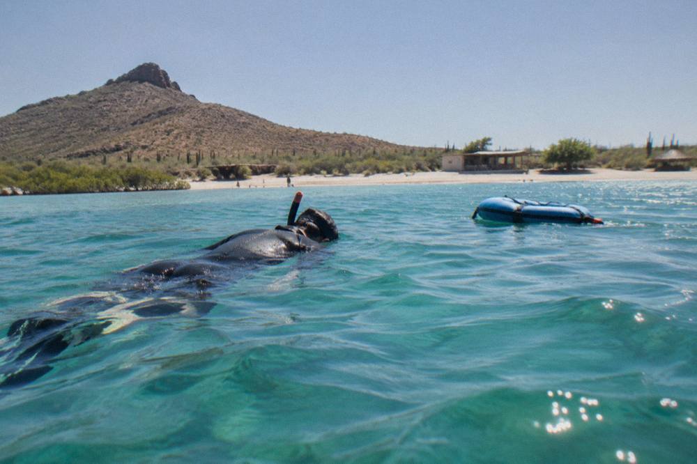 A snorkeler in a wetsuit floating at the surface beside calm turquoise water