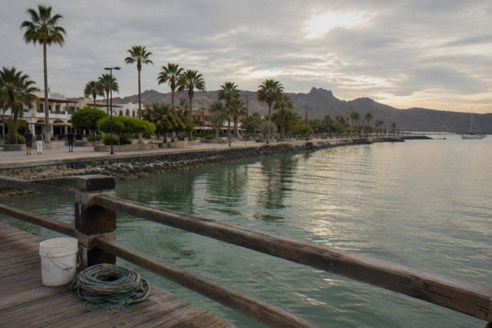 Wide stone promenade along the La Paz waterfront with palm trees and calm bay beyond