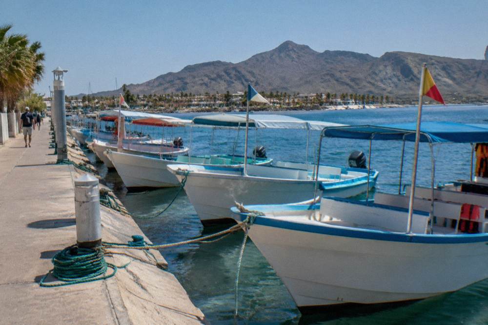 Moored small passenger boats with pennant flags at a marina dock in La Paz