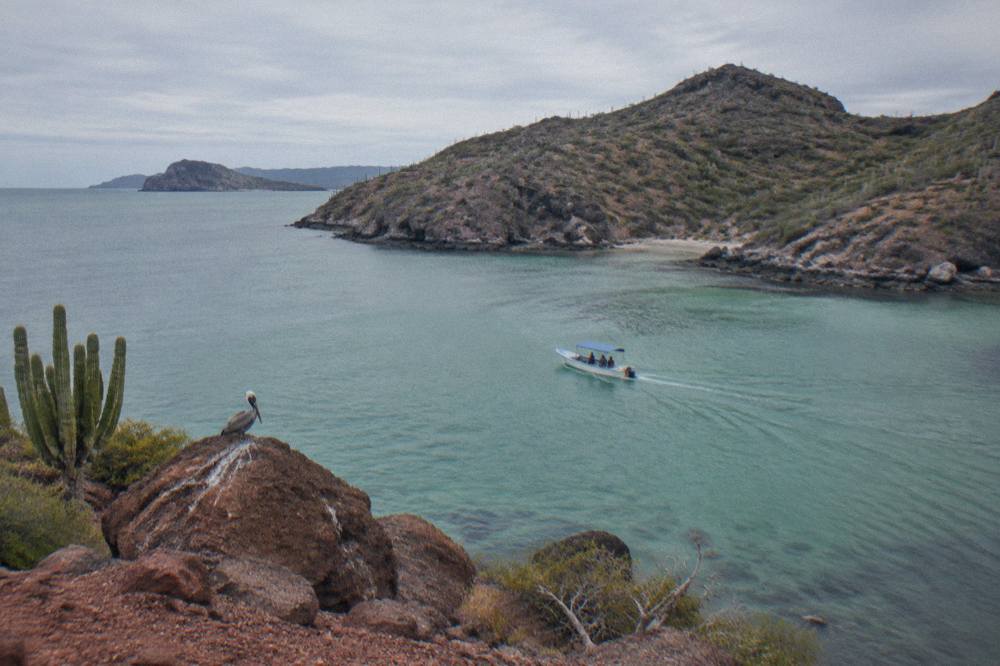 Small snorkel boat crossing calm green water toward rocky desert hills