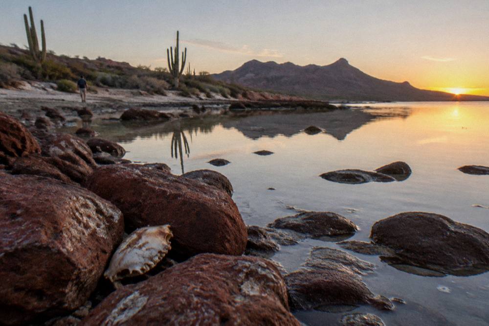 Quiet desert coastline at golden hour with still water and distant mountains