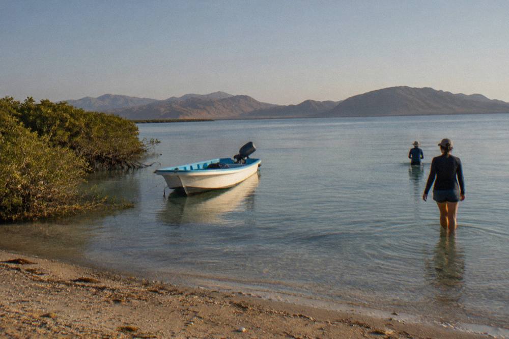 Sunlit La Paz waterfront with calm bay water and desert hills in the distance