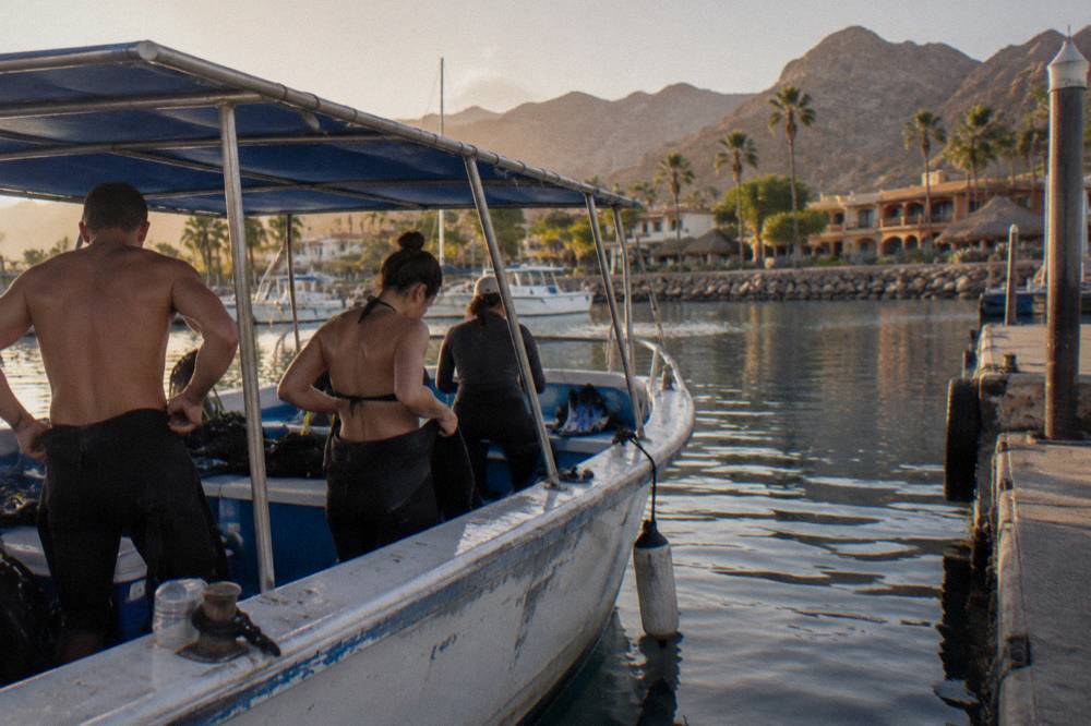 Snorkel boat in open bay water with passengers in wetsuits beside the rail