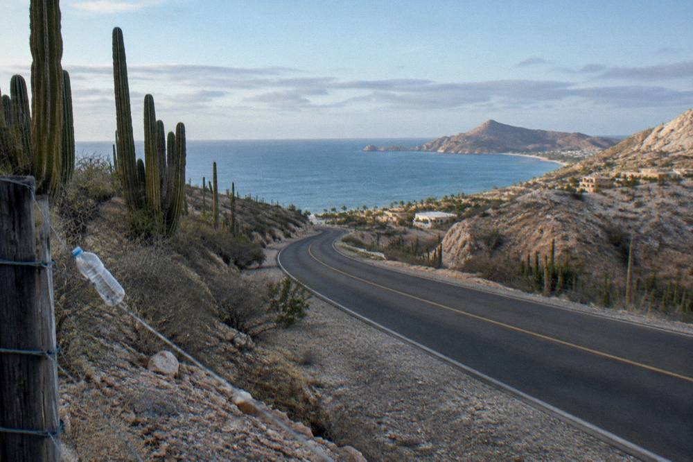 Coastal desert highway curving between cactus-covered hills and the sea