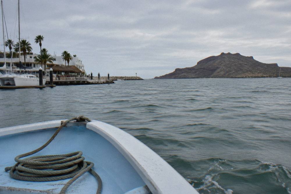 Snorkel boat cruising across flat green water toward the whale shark swim zone in La Paz bay