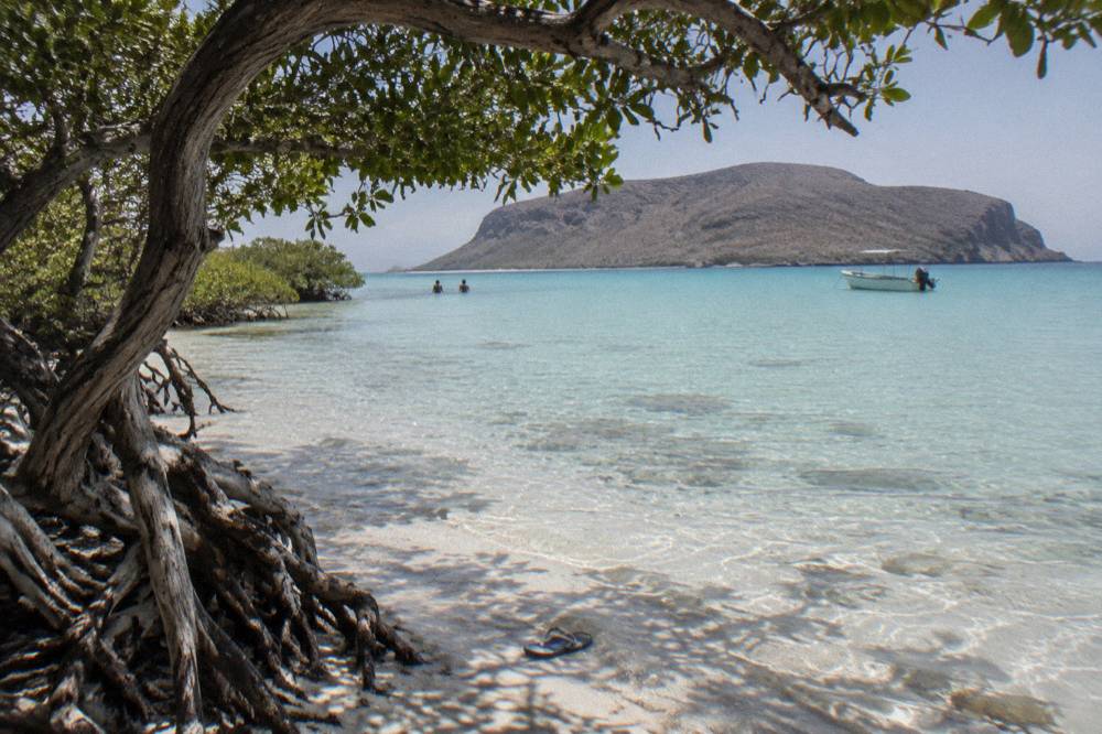 A shaded beach with turquoise shallow water and a small boat anchored offshore