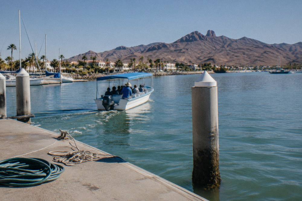 Wide view of a calm bay at morning with a tour boat heading out from a marina